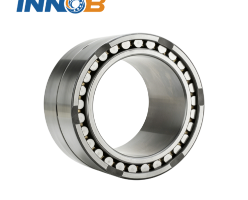 Large Cylindrical Roller Bearing (2)